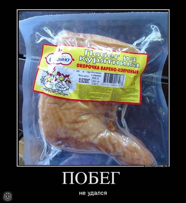 Утренняя зарядка демотиваторами 11