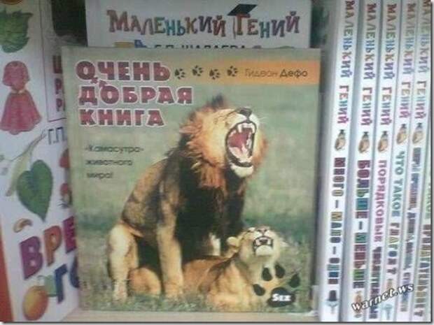 d95c618b3d2d049fa85bb2d21a6_prev