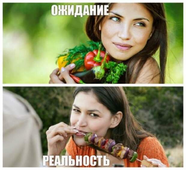Поездка на шашлыки: ожидания vs. реальность (12 фото) Поездка на шашлыки: ожидания vs. реальность (12 фото)