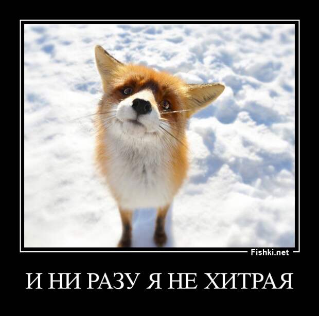 Демотиваторы Демотиваторы демотиваторы