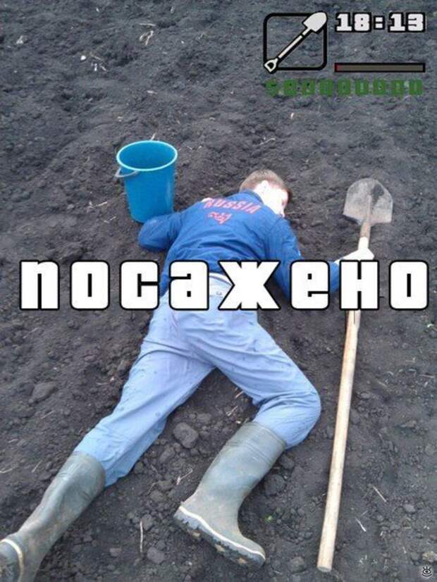 Весёлые картинки из жизни 18