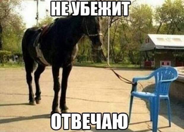 Анекдоты посмеяться (14 шт)