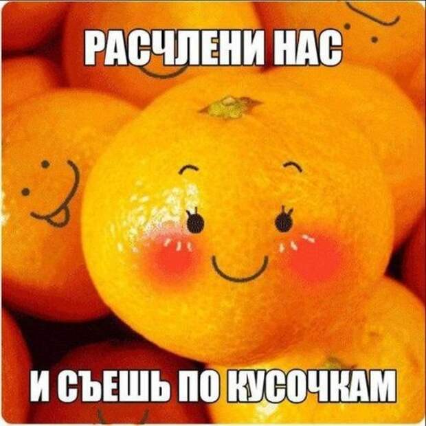 Фото-приколы и картинки