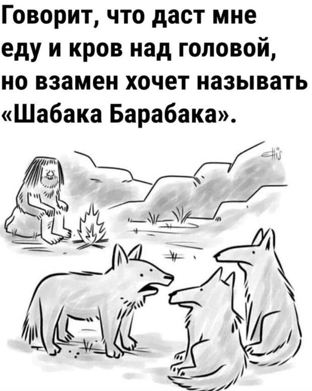 Собаки и люди хорошо понимают друг друга. Но как? И причем тут ЛСД?