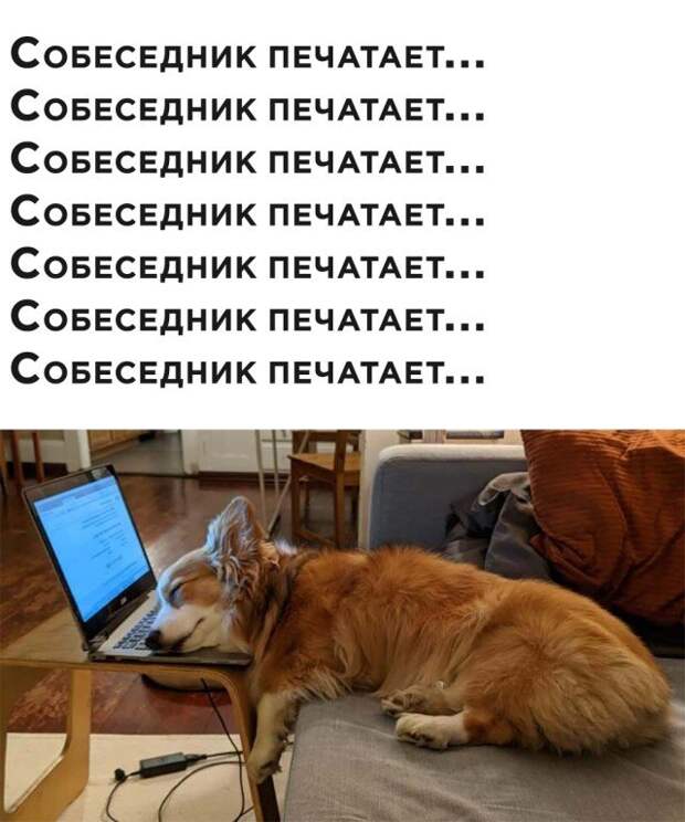 Собеседник печатает сообщение