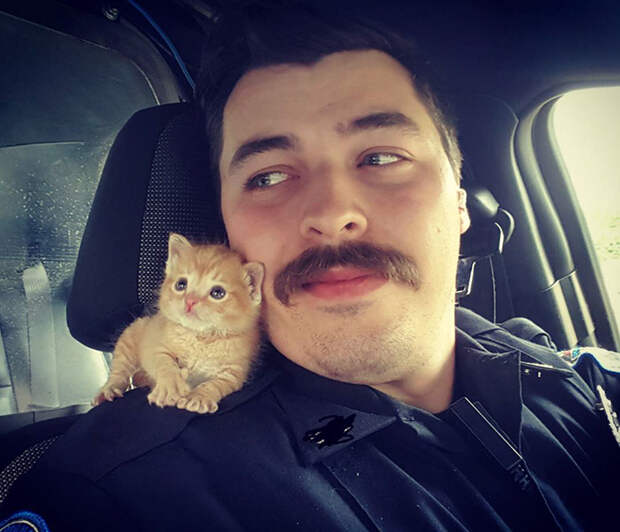 cop-rescues-kitten-donut-operator-5