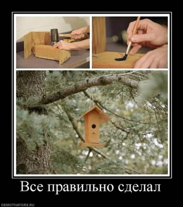 Демотиваторы, много новых и только прикольных.