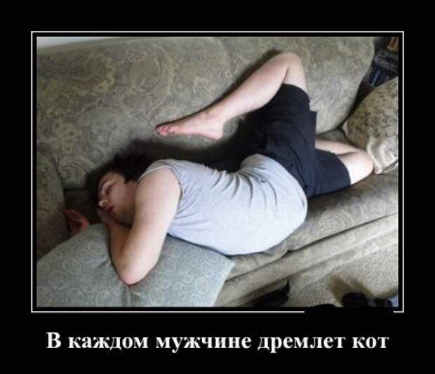 Для нас прикольные демотиваторы.
