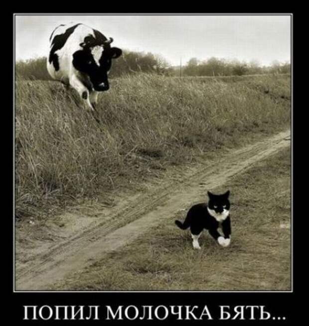 Новые демотиваторы на начало недели!