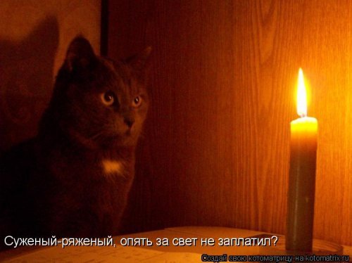 Новая котоматрица для настроения. Смотрим приколы