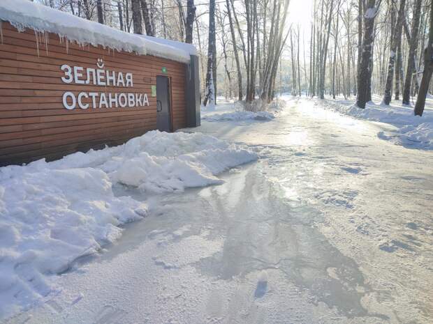 В Центральном парке Тулы произошёл прорыв подземных коммуникаций