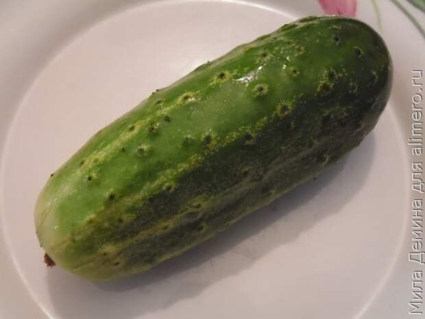 Закуска Закуска