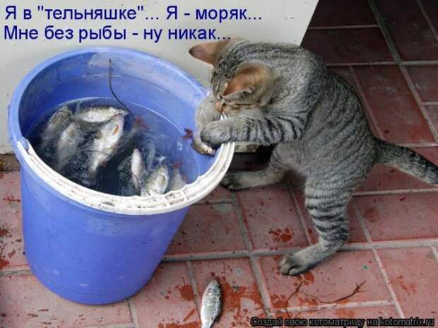 Мысли вслух :)