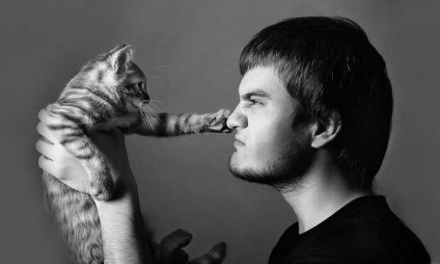 16 фраз, которые мы говорим своему коту 16 фраз, которые мы говорим своему коту коты, фразы
