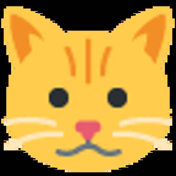 Голова кошки