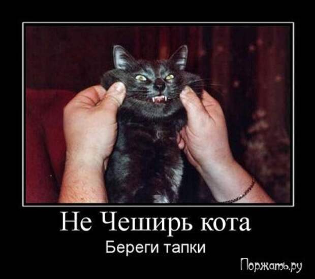 Демотив смешная подборка.