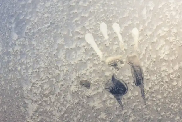 Отпечаток руки Фрэнсиса Ливая