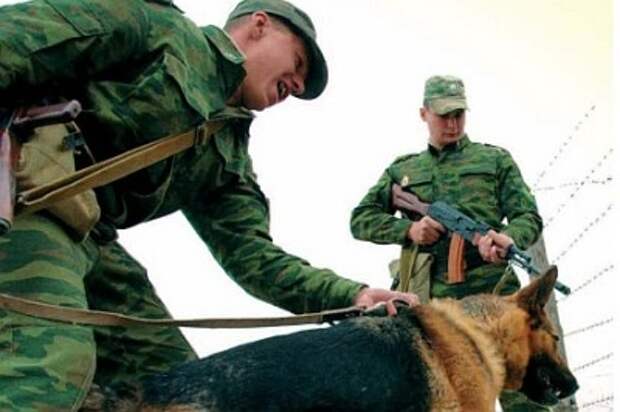 Полезные идиоты