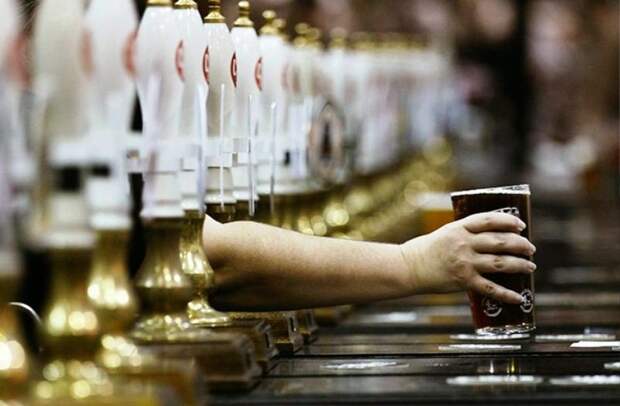 Баварские ценности в России пропагандируют с помощью пива