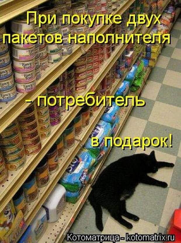 Позитивные зверушки. Весёленькие фото Позитивные зверушки. Весёленькие фото