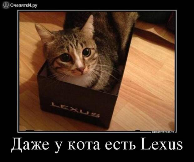 Дружба решает всё! 6