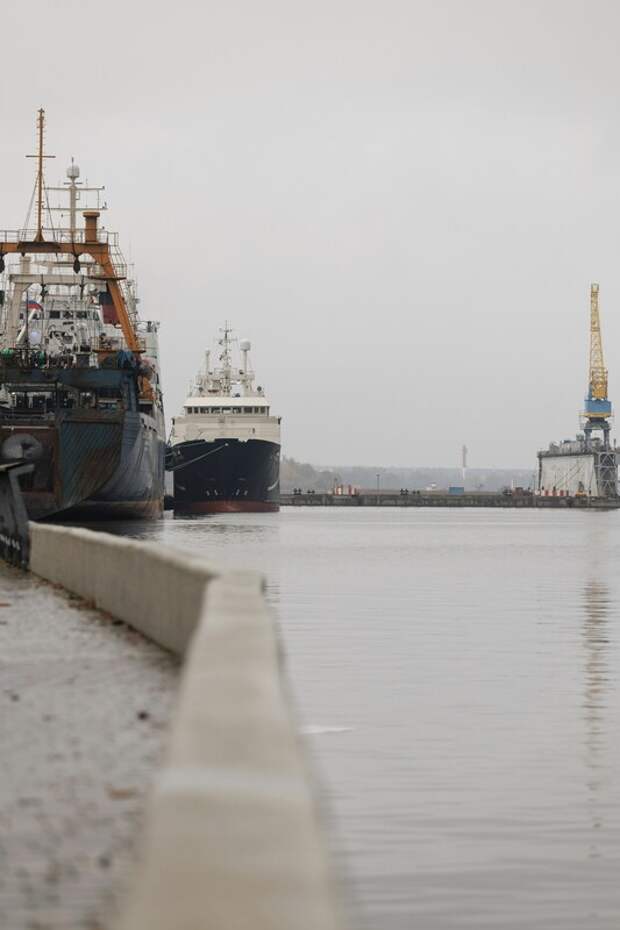 США разрешили покупку российской нефти, погруженной на суда до 12 марта