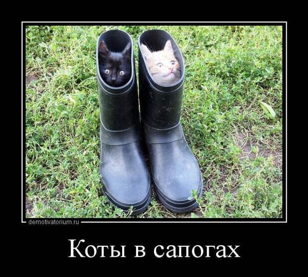 Демотиваторы демотиваторы, прикол, смех, юмор