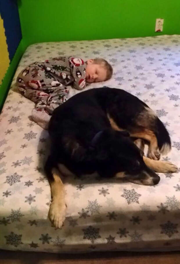 My Son Has Epilepsy And Bear Comforts Him After A Seizure And 