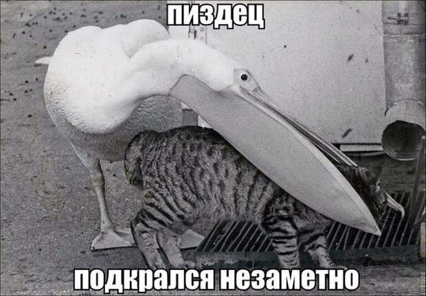 Всяко - разно 53 ))) Всяко - разно 53 )))