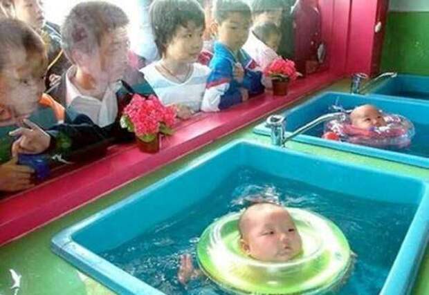 wtf-japan-4