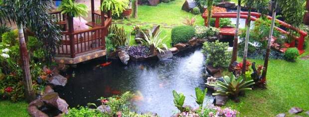 Декоративный пруд: эффектное украшение вашего сада