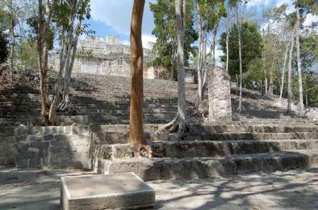 Плотность расположения городов майя