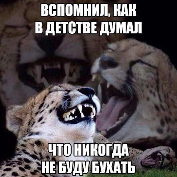 ПОДБОРКА ФОТОПРИКОЛОВ № 359 ПОДБОРКА ФОТОПРИКОЛОВ № 359