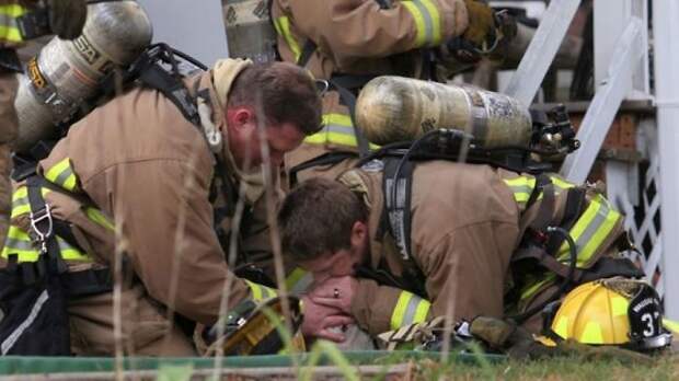 Firefighters Use Mouth-To-Nose Respiration To Save Family's Dog