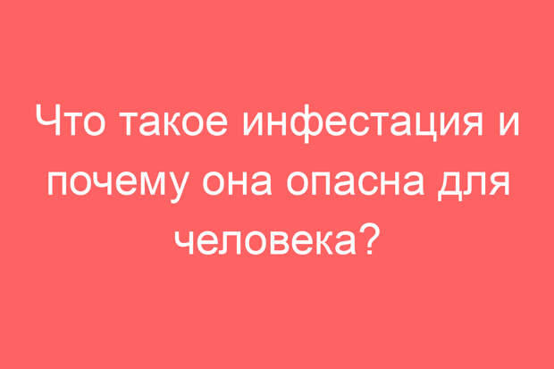 Что такое инфестация и почему она опасна для человека?