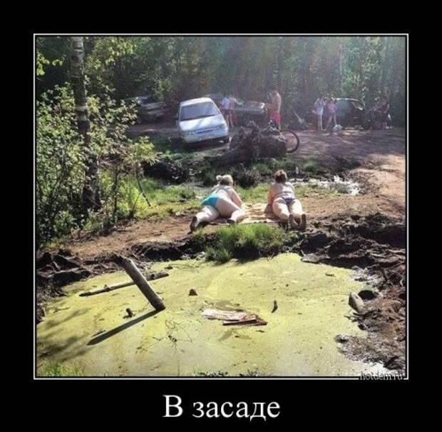 Свежие прикольные демотиваторы (27 шт)
