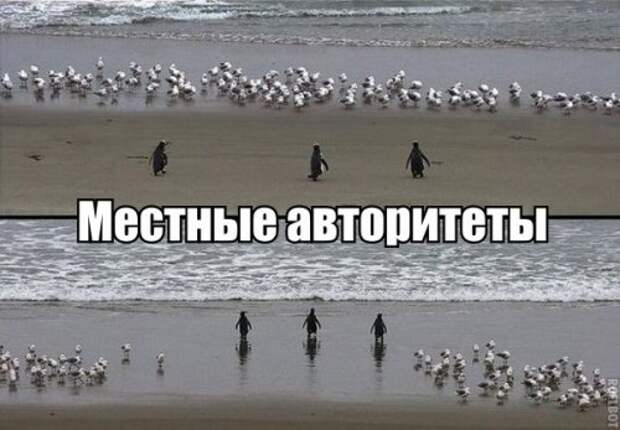 Анекдоты дня (8 шт)