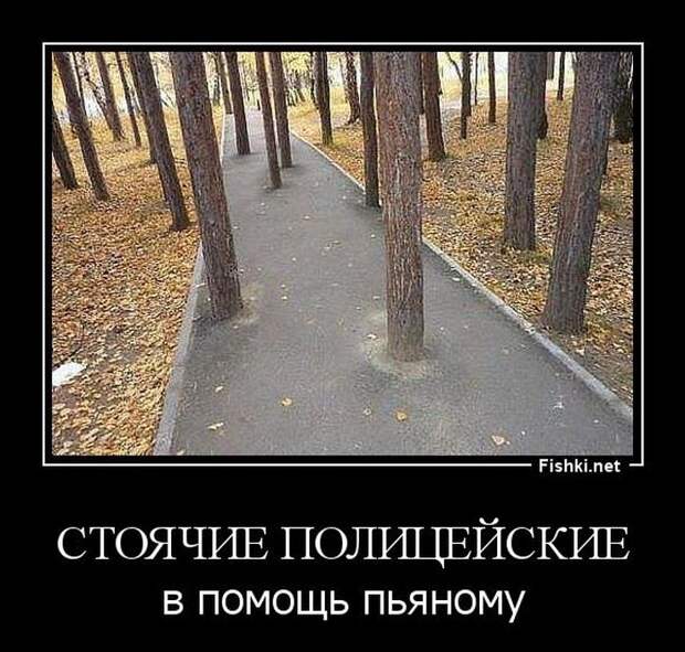Демотиваторы демотиваторы, прикол, смех, юмор