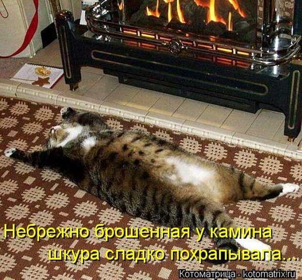 Новые котоматрицы за неделю