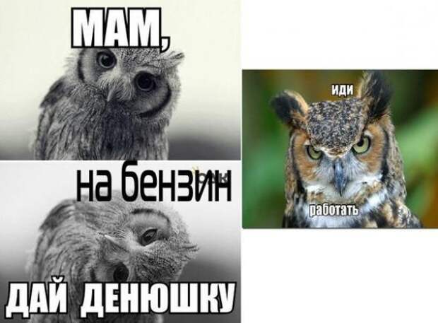 Подборка автоприколов - 17