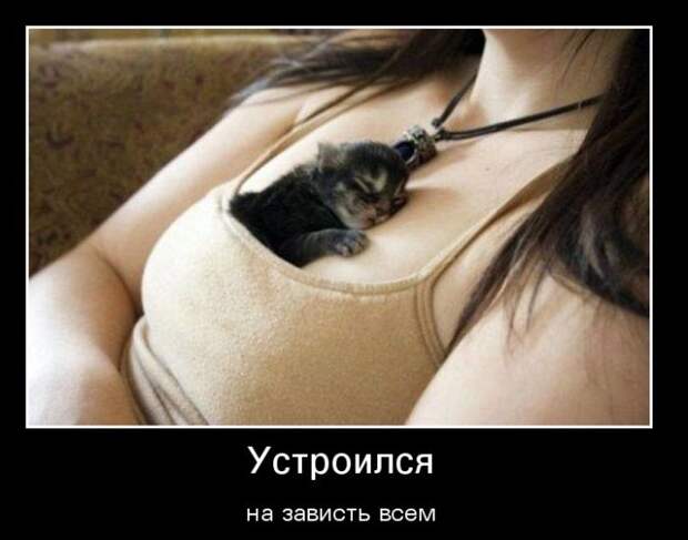 Демотиваторы (30 фото)