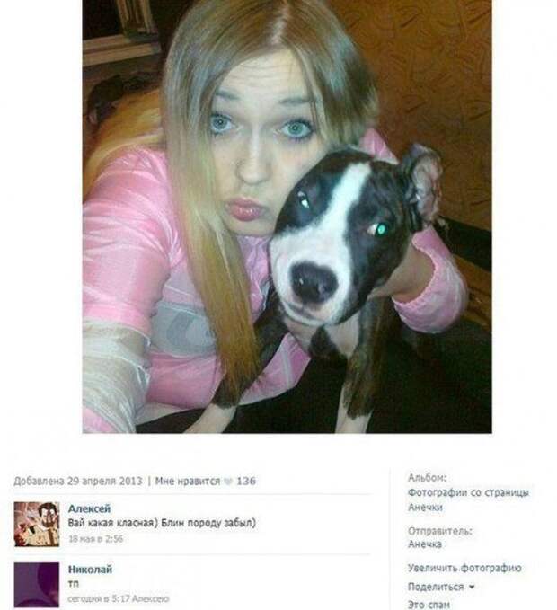 Смешные диалоги