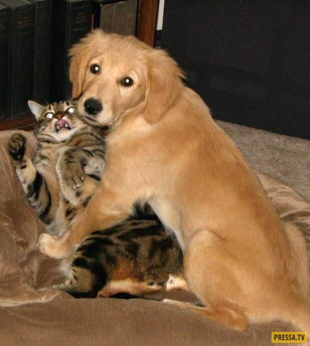 Прикольные фотографии - Субботний выпуск (53 фото)