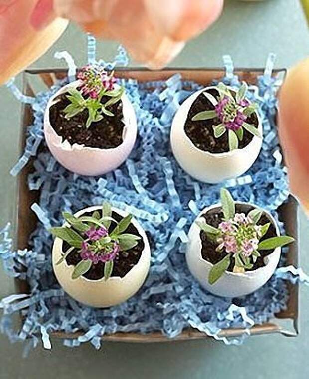 Сделай сам, своими руками, креатив, поделки, полезные