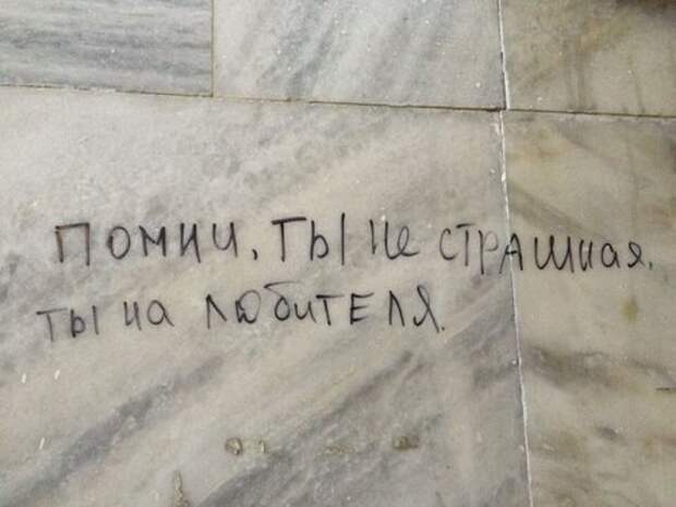 Прикольные картинки для всех (43 шт)