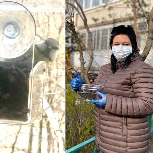 Оконная кормушка для жительницы Кузьминок Елены Николаевны. Фото: ГБУ ТЦСО "Кузьминки"