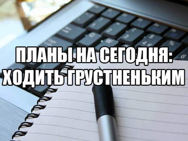 Картинки со смешными подписями картинки, прикол, юмор