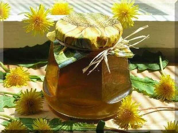 Варенье из одуванчиков - лекарственный мёд