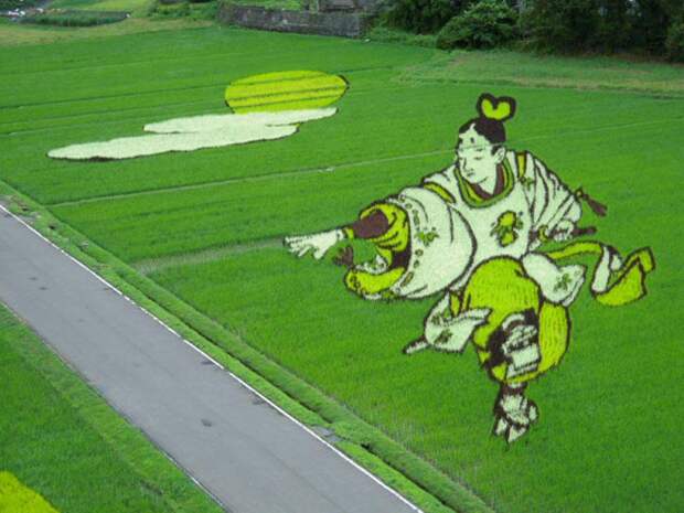 these-rice-fields-in-japan-look-like-ordinary-rice-fields-but-take-a-look-what-happens-next-artnaz-com-10