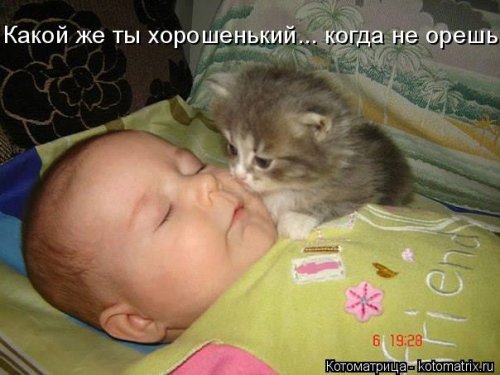 Котоматрица на Бугаге (28 фото)